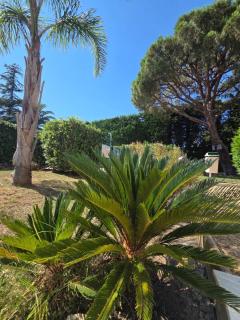 Charming 2 bedroom with sea view, pool and parking - 4