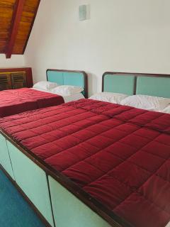 The Niwasa Resident - 6