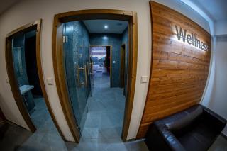 Wellness Penzión Vínny Dom - 3