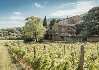 Gîtes de Mirabel Charmis - 0