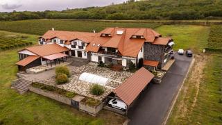 Wellness Penzión Vínny Dom - 9