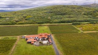 Wellness Penzión Vínny Dom - 8