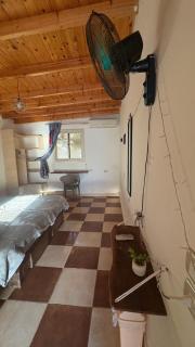 SafeZone Guesthouse - 8