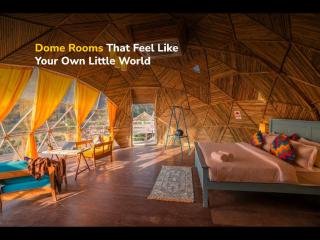 goSTOPS Dehradun, Maldevta - 4