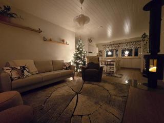 Home Aurora! NEW luxury Villa with home Gym - 8