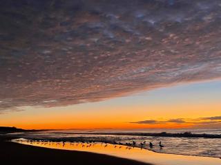 River meets the Sea - 1