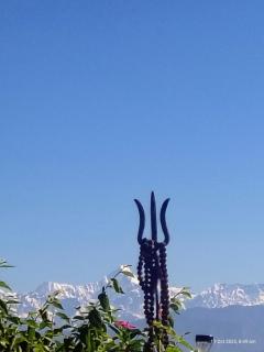 The Rawscape hostel - 3