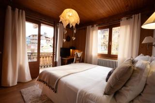 Appartement 10 personnes au pied des pistes vue Mont Blanc - 3