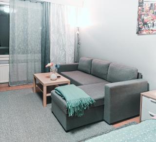 Spacious and Comfy Apartment, 15 Mins from Airport, 17 Minutes to City Center - 5