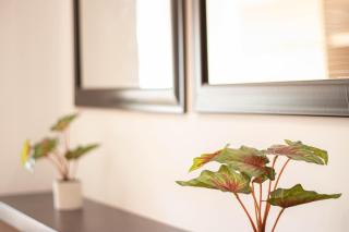 Armilla Apartament - 1