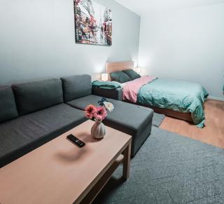 Spacious and Comfy Apartment, 15 Mins from Airport, 17 Minutes to City Center - 3