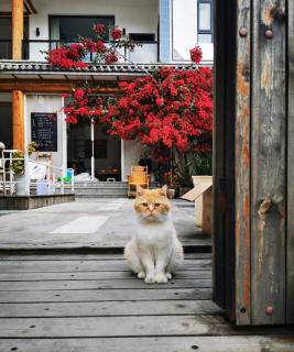 Dali Jiujiu Sunshine Boutique Homestay - 8