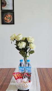 Astra 1BR with bathtub - 0