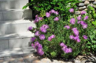 Holiday home in Starigrad-Paklenica 6790 - Knežević - 1