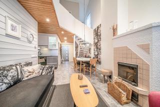 Levin Kuningaskotka C4 Visit Levi - 3