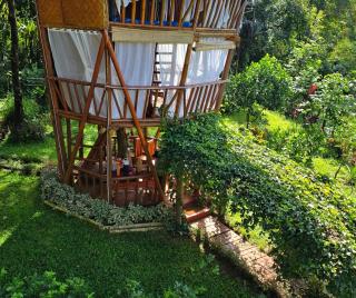 Señor Magallanes Farm and Resort - 9