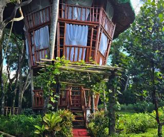 Señor Magallanes Farm and Resort - 7