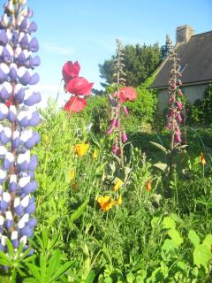 Gîte à la ferme - 8