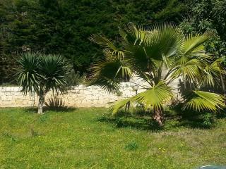 VanessaHolidayHome Piano Primo - 6