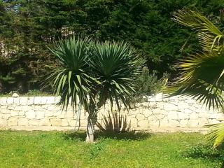 VanessaHolidayHome Piano Primo - 5