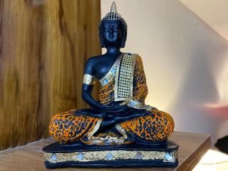 Luxury Stay Royal Villa Aerocity mohali - 7