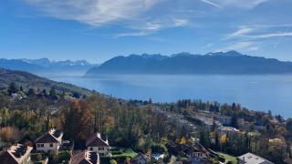 Sweet home avec vue incroyable lac leman proche lausanne - 8