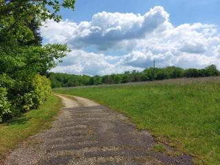 Maison de vacances Le Tilleul - Besse - 5