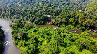 Eco Lodges by Ceylon Adventures - Kitulgala - 0