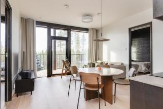 Levi Fjällen 5 Visit Levi - 9