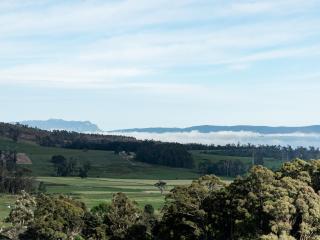 Cedar Cottage Meander - 6