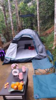 SR Villa - Serenity by riverside - 4