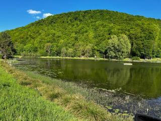 Ferienhaus Schieferterrasse - Waldsee Rieden - - 7