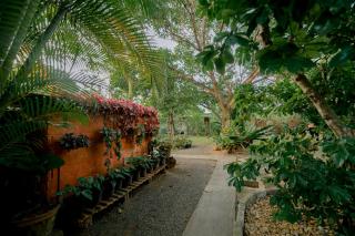 DANDELION - Unawatuna - 8