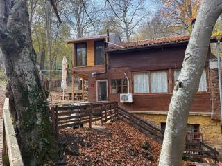 Apartment With 2 Bedrooms - Magic Woods - 2
