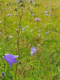 Verkestaberg by Tiny Away - 1