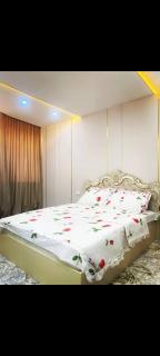 2х комнатная квартира со всеми удобствами - 0