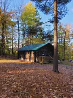 Authentic Log Cabin Rental for a Family Camping Getaway near Chase Lake, New York - 5