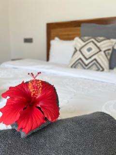 U paradisu Villas - Villa 1BR - Private Pool - 5