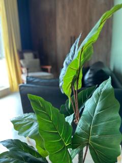 The Minimalistic Studio by sukun Gold crest Mall - 5