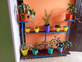 Hridhaan Hometay - 3