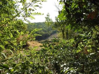 Maison de vacances Le Pigeonnier - 6