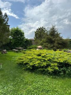 Зона отдыха - 0