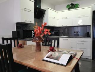 Apartament Czekoladowy Zdrój - 9