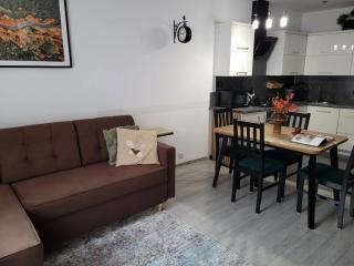 Apartament Czekoladowy Zdrój - 8