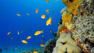 דירת נופש מעוצבת עם מרפסת במיקום שקט - 7