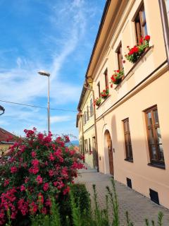 Apartment in a historical house in the center of Levoča - Levoča - 8