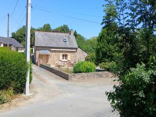 Les Roses Trémières - 8