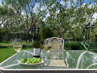 Cozy Home with a Garden and Mountain View - 7