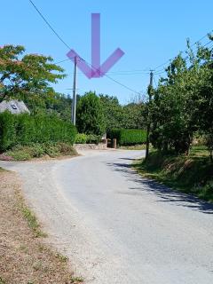 Les Roses Trémières - 3