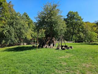 Apartment With 2 Bedrooms - Magic Woods - 7